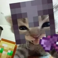 cats-hods